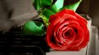 A lady’s right to choose A lady’s right to choose