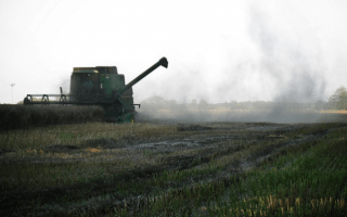 Future of Food: Feeding 7 Billion