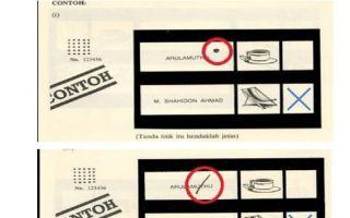 Guide to the Postal Voting Process