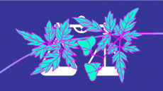 We Are the Weeds: A Gallery of GIFs
