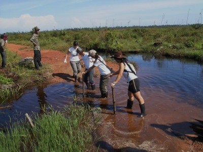 peat swamp forest tree planting volunteers