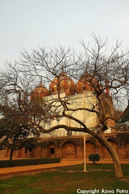 Mosque at Safdarjung's Tomb