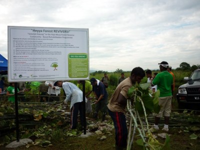 Peat Forest Rehabilitation in Raja Musa Peat Forest, Selangor. (Photo by Mory Etsu Morita)