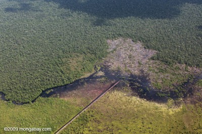 Draining of PeatLand in Borneo (Source : Mongabay)