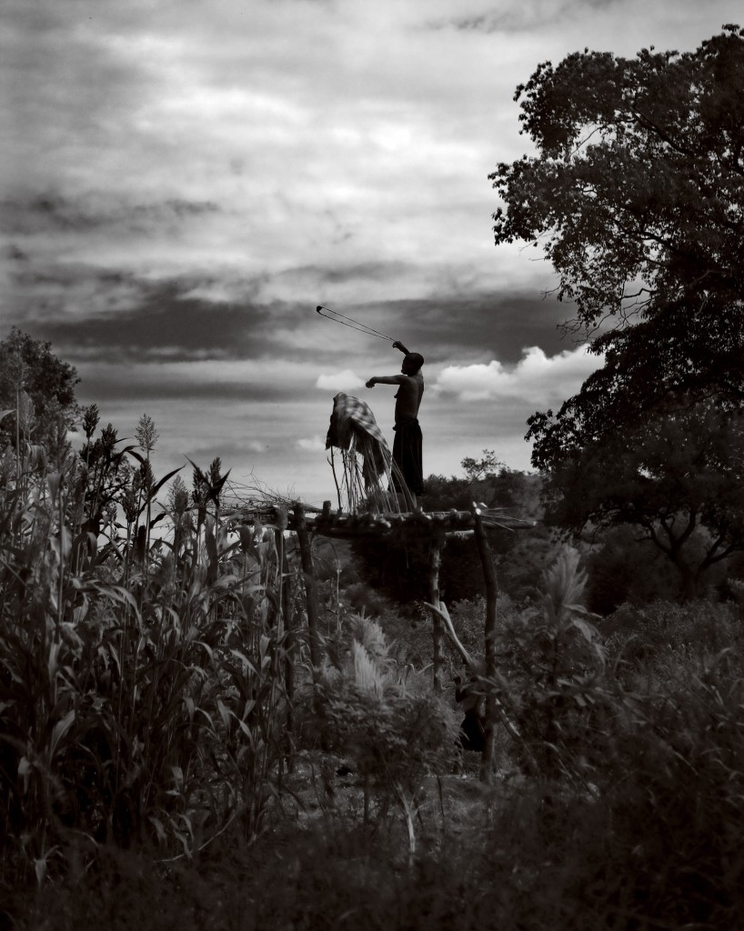 The great hunters of Mago National Park