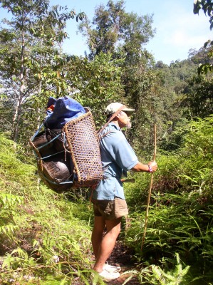 Trekking through the hills of Batang Ai.