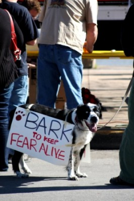 A dog exercising free speech at the Rally for Sanity, St. Louis City, USA. | Credit: Ka Ea
