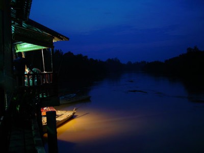 Kuala Selangor Firefly Sanctuary | Credit: http://www.flickr.com/photos/leafbug