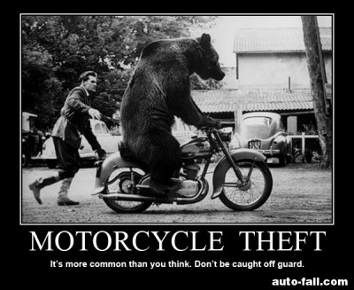 If a bear can steal your motorcycle, you deserve it!