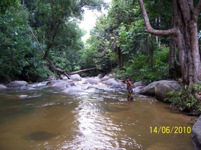 By The River | Credit: Bentong Farm Sanctuary