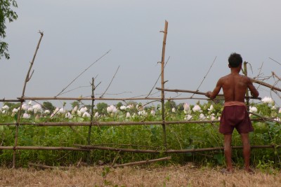 Mending fences | Credit: June Rubis