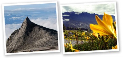 Mount_Kinabalu Image from http://www.cuti.com.my/tour/info.php?id=2720