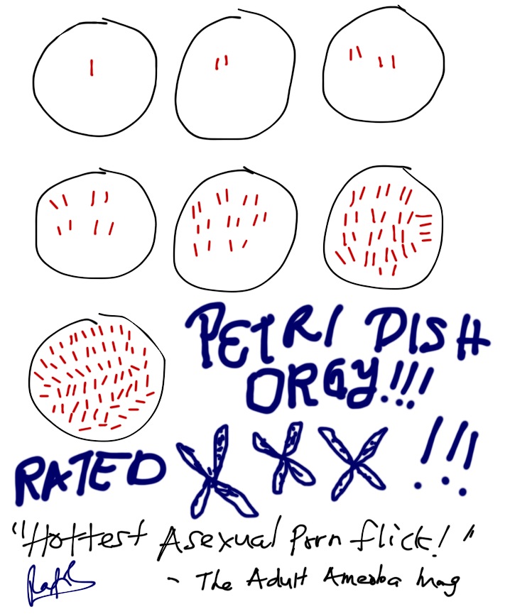 Petri Dish Orgy