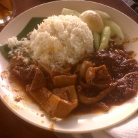 Nasi Lemak and Sotong at RM7.00 (Village Park)