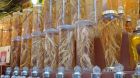 For REFSA, Internal Party Disagreements are Like Ginseng For REFSA, Internal Party Disagreements are Like Ginseng