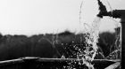 Wading Through the So-Called “Water Crisis” Wading Through the So-Called “Water Crisis”