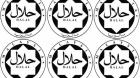 The Rising Tide of the Malaysian Taliban The Rising Tide of the Malaysian Taliban