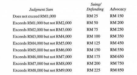 Cost Schedule Excerpt